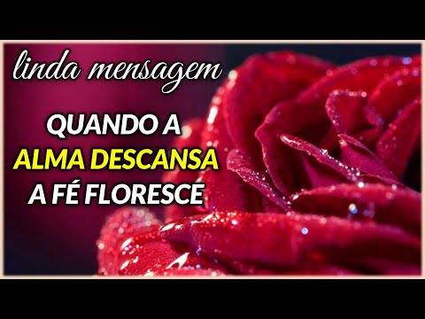 Mensagem: Quando a Alma Descansa a Fé Floresce