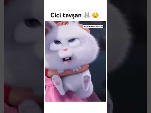 Cici tavşan🐰☺️ #animasyon #çizgifilm #keşfet #shorts #öneçıkar #öğrenci #okul #sınıf #öğretmen #anı