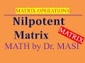 Nilpotent Matrices and Their Properties