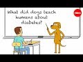 Diabetes Understanding and Treatment