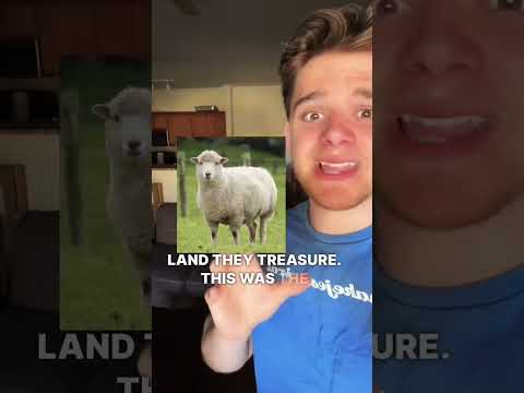 TRUE STORY IRL MIRACLE PROOF OF GOD