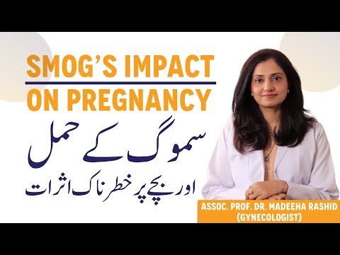 Smog & Pregnancy Risks - Hamla Khawateen Smog Se Kaise Bachen- Safety Tips for Expecting Mom In Urdu