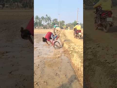 the end 😂😂😂 #shorts #shortvideo #youtubeshorts #funny #fails #humor