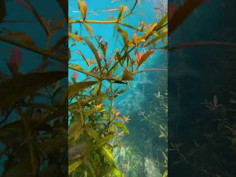 the beauty of nature - You didn't think it was that beautiful _65thclip #satisfying