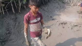 Amazing Boy Catching Big Catfish In Mud Water   #Hand Fishing For Catfish Part   02