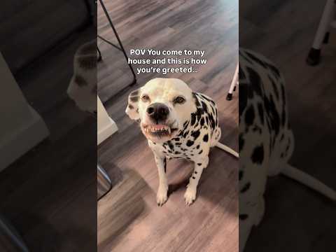 Whatโs your first reaction?! #reaction #reactionvideo