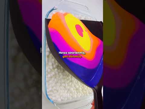 Hocanın Atını Çalmaya Çalışan Hırsız Çarpılmış !! ⚡​😵‍💫​🥴​😮​😈​ #hikaye #başarı #motivasyon