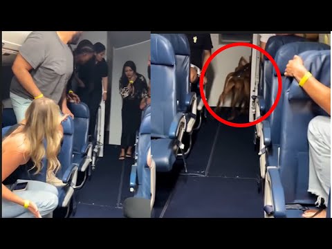 They found the most TERRIFYING creature on the plane LIVE