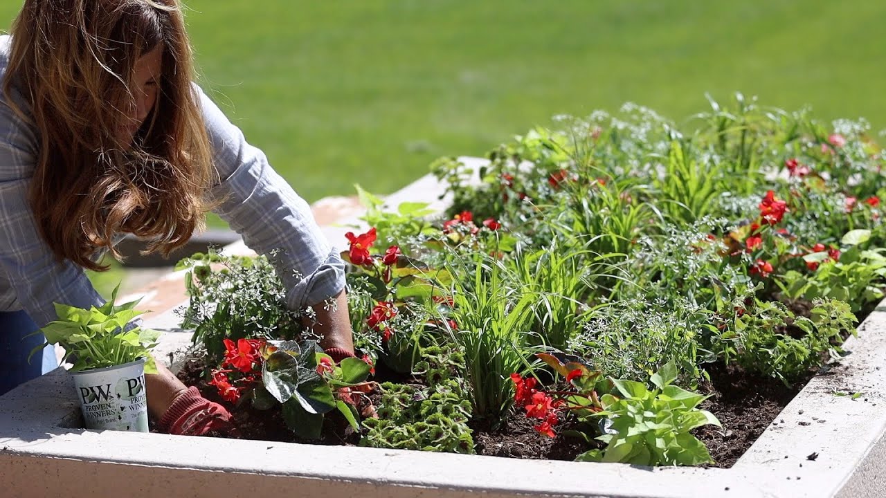 Planting Containers For Sun and Shade!