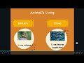 Animal Interactions and Group Behavior