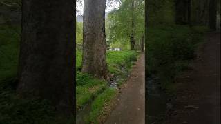 #nature #rain #music #ytshorts