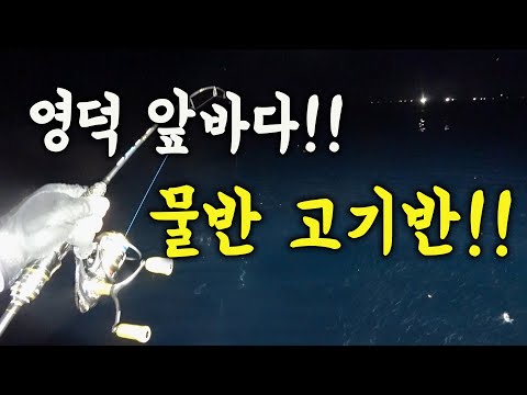[다리tv] 영덕 앞바다 난리남!!! 왕오징어 & 시장 고등어!!! 그냥 던지면 물어요!!!