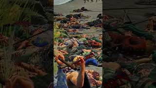 FOLDED UP LIKE LAWNCHAIRS!