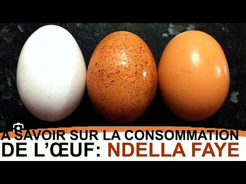 A savoir sur la consommation de l’œuf: Ndella Faye