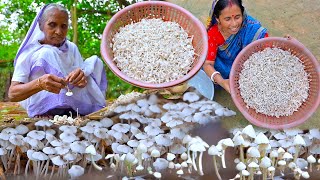 বর্ষায় হওয়া দারুন স্বাদের উইমাটির প্রাকৃতিক মাশরুম তুলে রান্না | Natural wild mushroom recipe