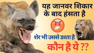 Know About Hyena 😮 | Most Dangerous animal 😡 | ख़तरनाक जानवर 🐯🦁#animals