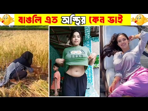 অস্থির বাঙালি 😂 কট না খেলে শিক্ষা হয় না বাঙ্গালীদের | Osthir bangali meme review viral video funny