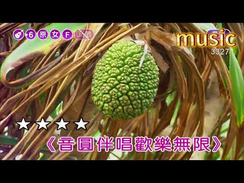 讓你走~許茹芸KTV 伴奏 no vocal 無人聲 music 純音樂 karaoke 卡拉OK 伴唱讓你走~許茹芸