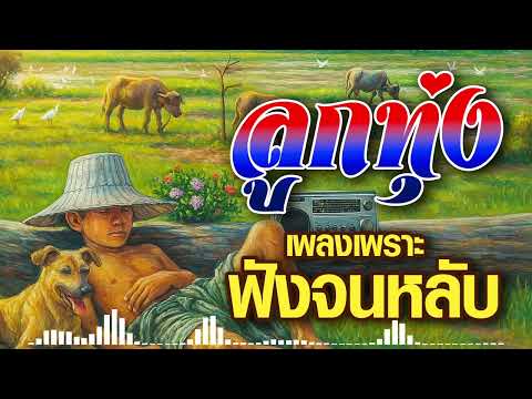 ลูกทุ่งเพลงเพราะฟังจนหลับ
