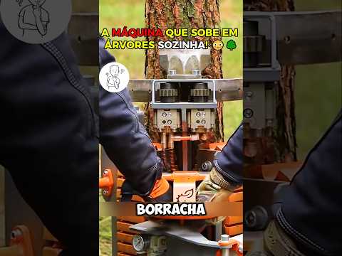 A MÁQUINA QUE SOBE EM ÁRVORES SOZINHA! 😳🌳