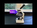 Parts of a Light Microscope Explained