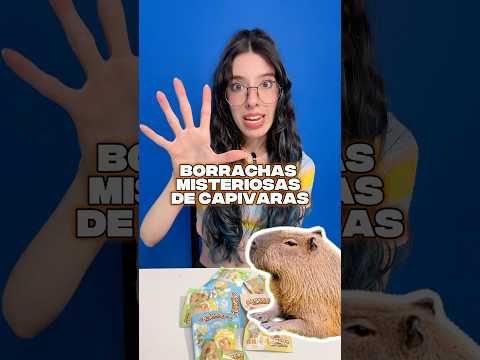 Abrindo borrachas misteriosas de CAPIVARA -Parte 2