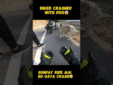 BIKER CRASHED WITH DOG😱.ACCIDENT HO GAYA😢. #modified #rr310 #rider #zx6r #kawasaki #monsterenergy