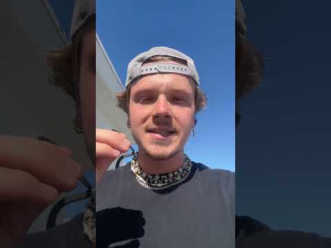 The Most Important Video You'll See All Day #dropshipping #shopify #onlinebusiness