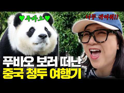 ※푸바오 최신 근황 공개※ 중국 청두에서 푸바오 직관! 식도락 여행에서 푸며들고 온 SSUL…𖤐