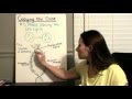 DNA Replication Concepts and Processes