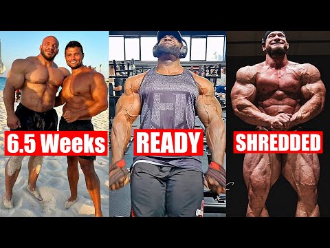 BIG RAMY 6.5 Weeks Out MR ⭕ | SAMSON Reached STAGE Level Condition | Hunter 10 Days Out From Italy