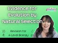 Evolutionary Evidence and Fossil Records