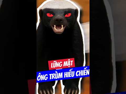 Tại sao Lững Mật được gọi là Ông Trùm Hiếu Chiến