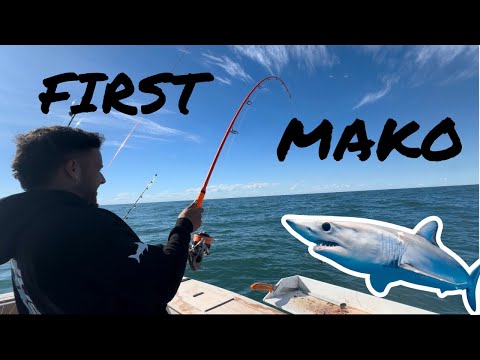 First Mako Shark!!! | LISHARKMAN