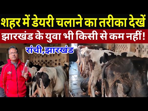 शहर में डेयरी फार्म चलाने,दूध,फीड,मार्केटिंग देखें/small dairy farm/dairy farm ranchi jharkhand ||