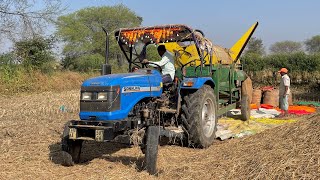 Amazing Paddy Cutting Work | Sonalika DI 42 RX & Surjeet Thresher | Tractor Video 