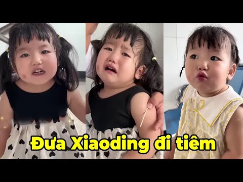 | Cuộc sống gia đình| Tiktok| Gia Đình Vui Nhộn