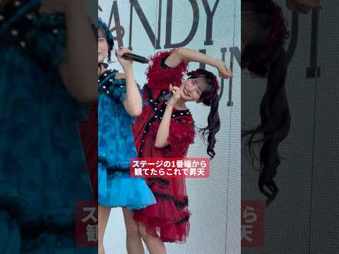 オタク:「倍ファイ！倍倍ファイ！倍倍倍っﾌｧｧｧｧｧｧｧｧ!!!!😇」 立花琴未 推しカメラ CANDY TUNE #きゃんちゅー #立花琴未 #アイドル  #推し活 [FanCam/직캠]