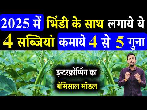 2025 फरवरी भिंडी के साथ लगाये ये 4 सब्जियां कमाई होगी 4 से 5 गुना | Okra Intercropping