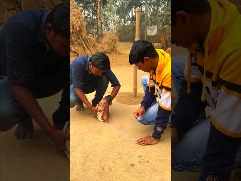 Aakhir ye murga kyu ek hi jagah pe rah jate hai ?