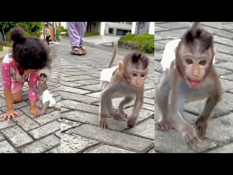 Didi's Baby Monkey Played Outside For the First Time