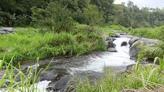 Salinan dari Suara Sungai Alam Menenangkan untuk Penyembuhan Emosi dan Tidur #meditasi