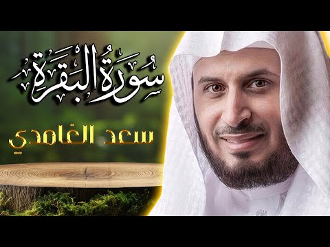 سورة البقرة لشيخ سعد الغامدي لحفظ و تحصين المنزل و جلب البركة | تلاوة هادئة Sourah Baqarah