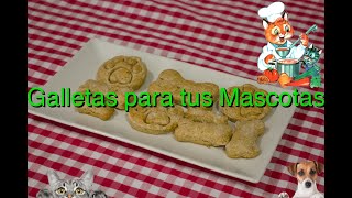 Para tu perro y tú gato receta de galletas caseras super sanas y naturales 🐱🐶🐱🐶🐱🐶🐱🐶