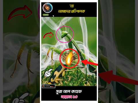 এদের আত্মরক্ষার কৌশল দেখলে আপনি চমকে উঠবেন #shorts #foryou #ayat #quran #recitation #motivation