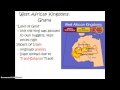 West African Empires and Their Leaders