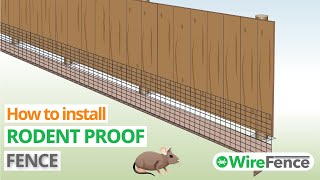 Video thumbnail for Rodent & mouse proof fence installation