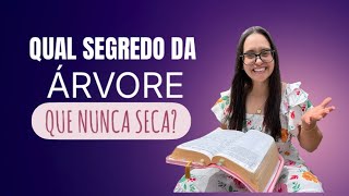 Salmos 1 Qual segredo da Árvore que nunca seca! 