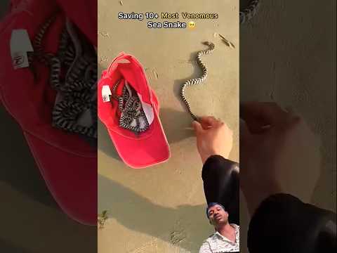 Incredible Gadgets and Tools Unveiled! 🔥✨ #shorts #Tech2025 83