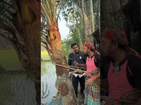 āĻāĻžāĻāĻŋāϰ āĻĒā§āϰāϤāĻŋāĻāĻž āĻĻā§āĻā§ āĻ
āĻŦāĻžāĻ